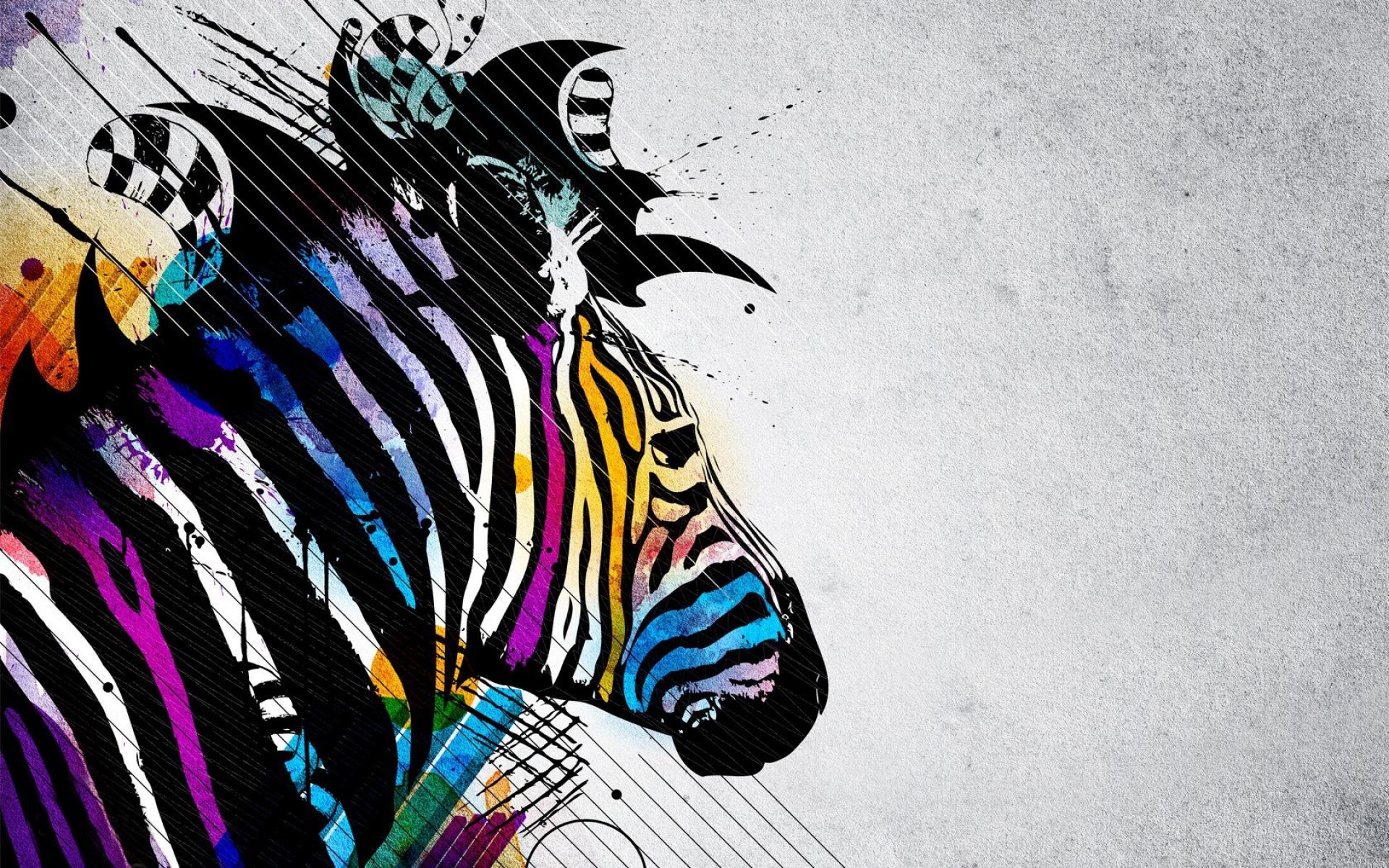 Zebra HD Wallpaper