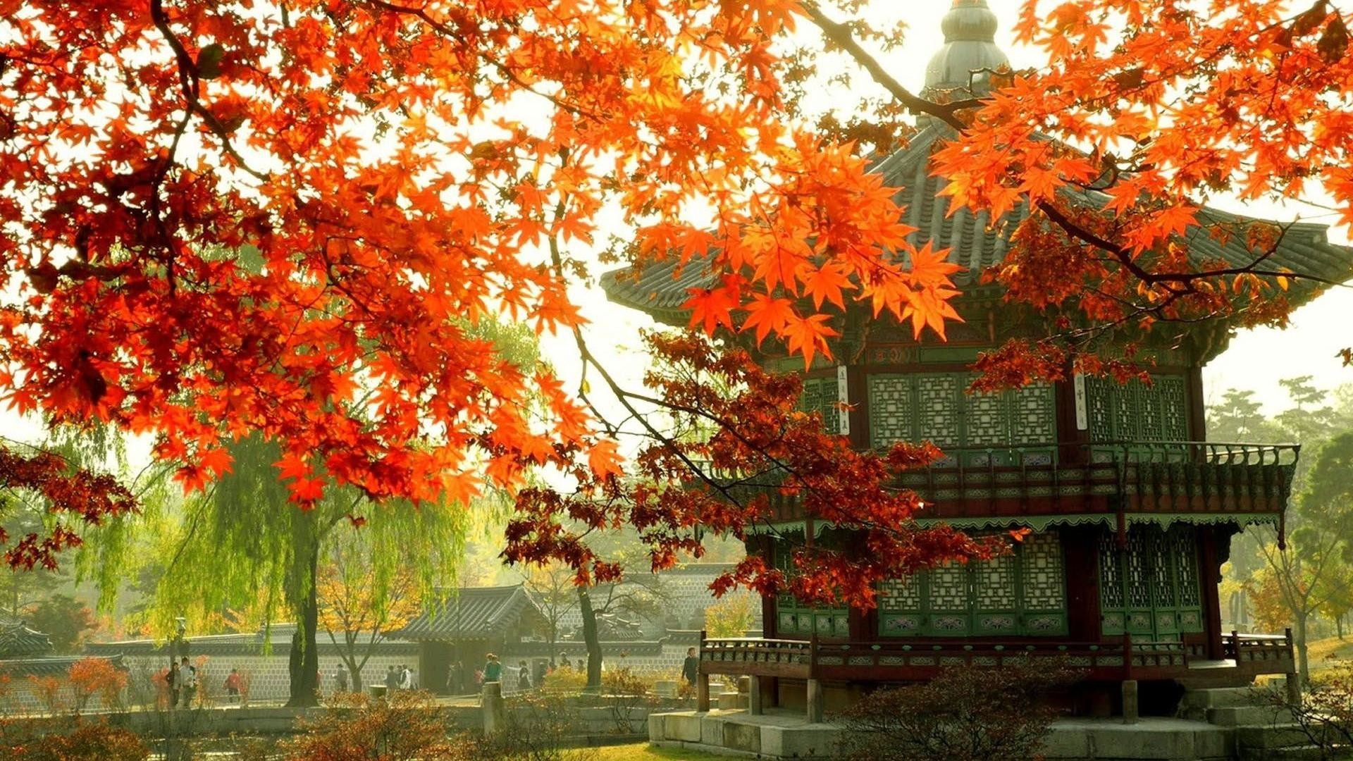 South Korea Wallpaper