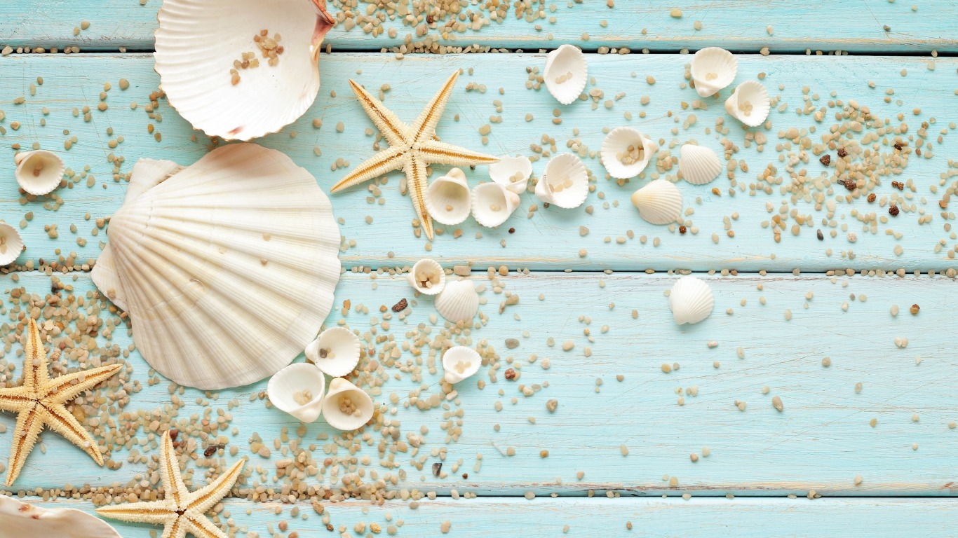 Seashells Wallpaper Collection