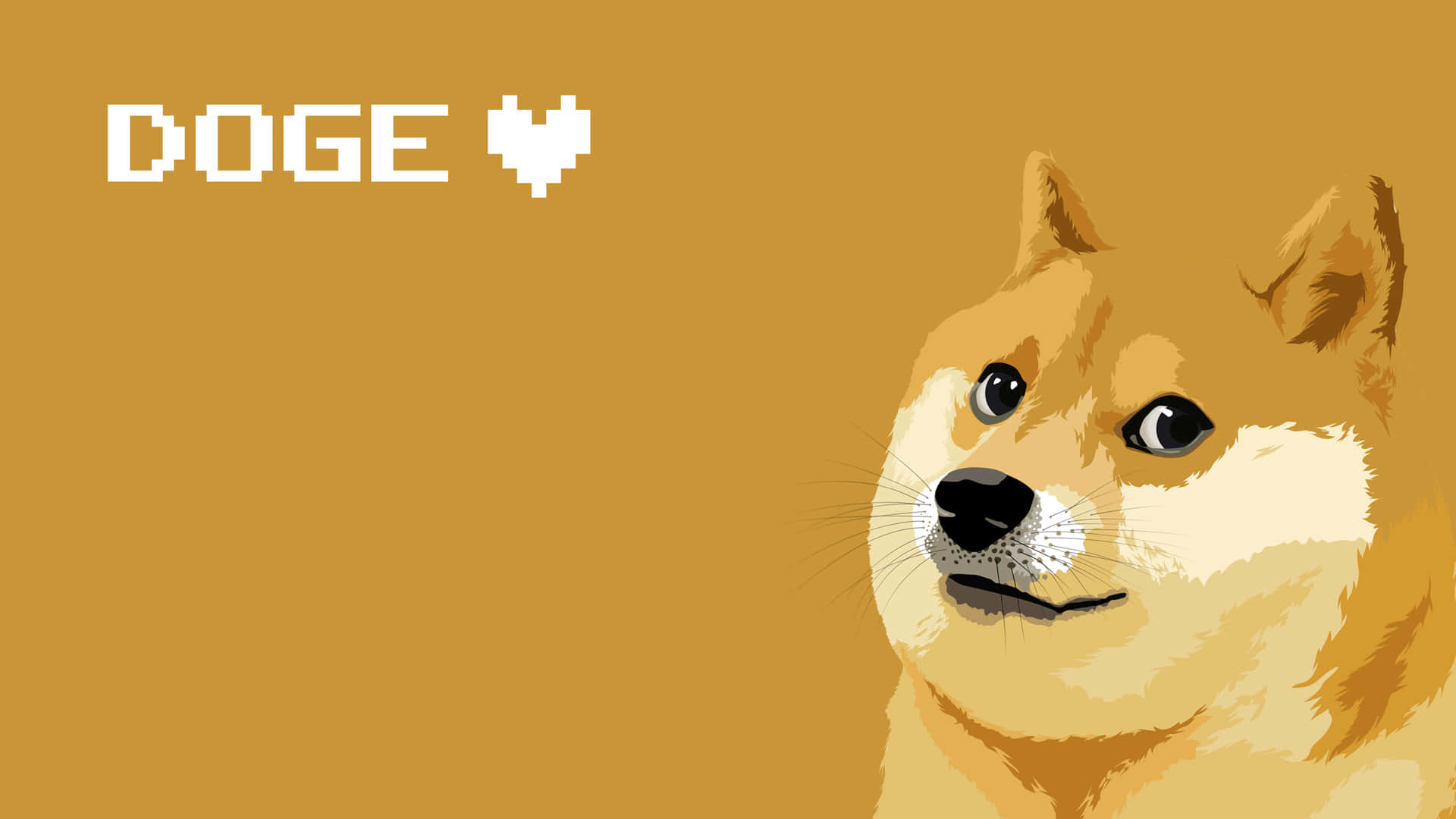 Internet Meme Wallpaper