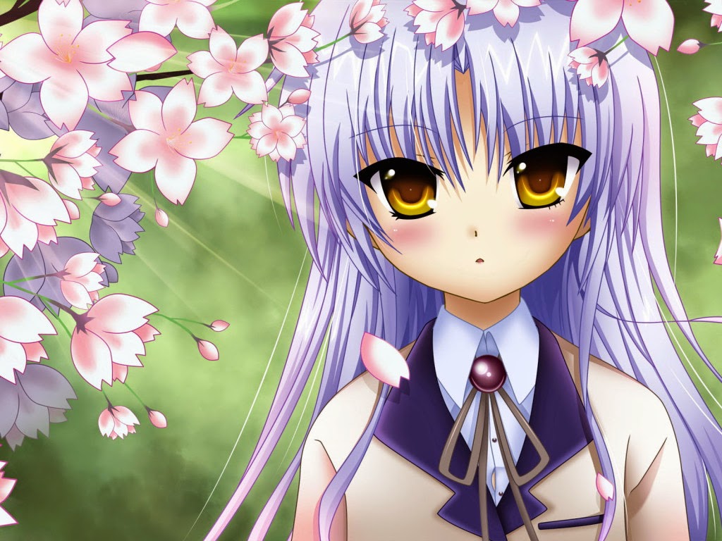 Anime Image Wallpaper