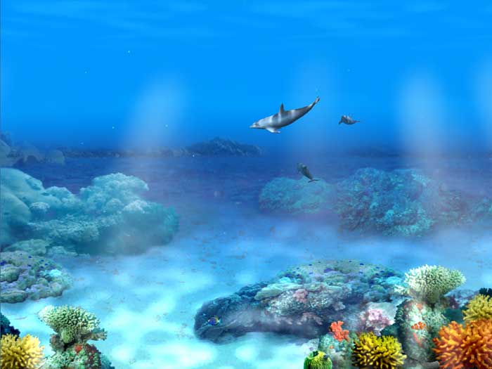 Living 3d Dolphins Animated Image Photos