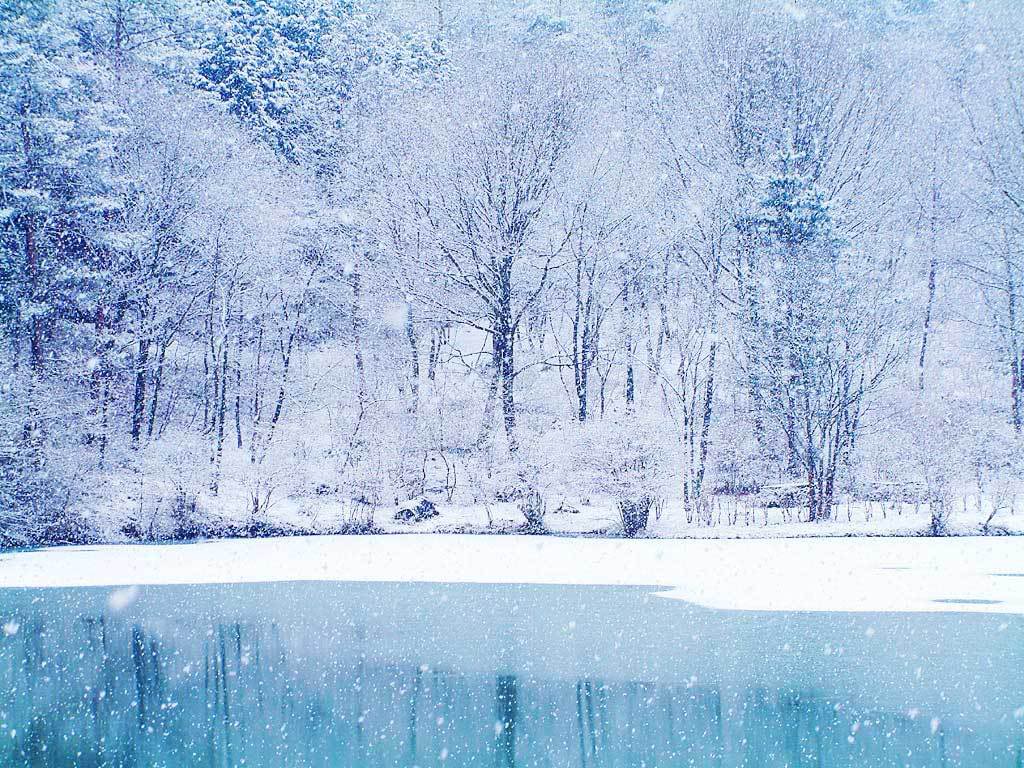 Winter wonderland desktop background