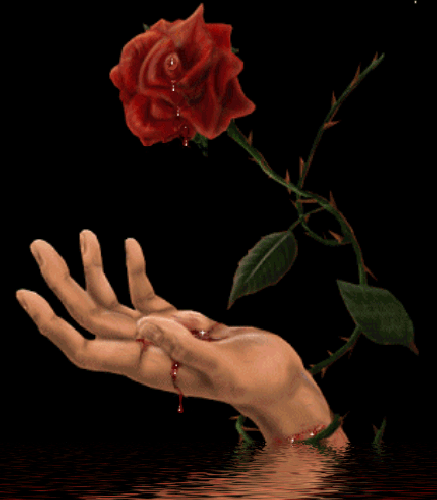  Red Rose Droping Blood Wallpaper HD Wallpapers Free Download
