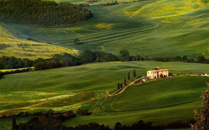 Tuscany Prairie Landscape Theme Wallpaper