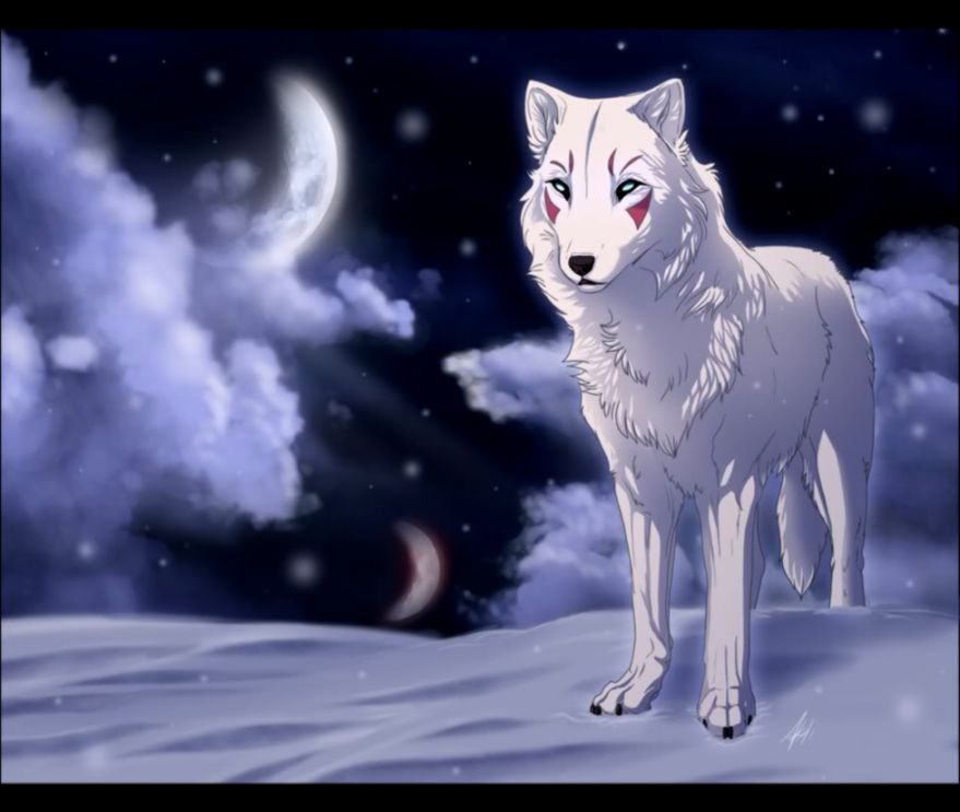 Free download White Wolf Anime Wallpapers Background [879x743] for your  Desktop, Mobile & Tablet | Explore 92+ Anime Wolves Wallpapers | Free Wolves  Wallpaper, Wallpaper Wolves, Wolves Wallpaper