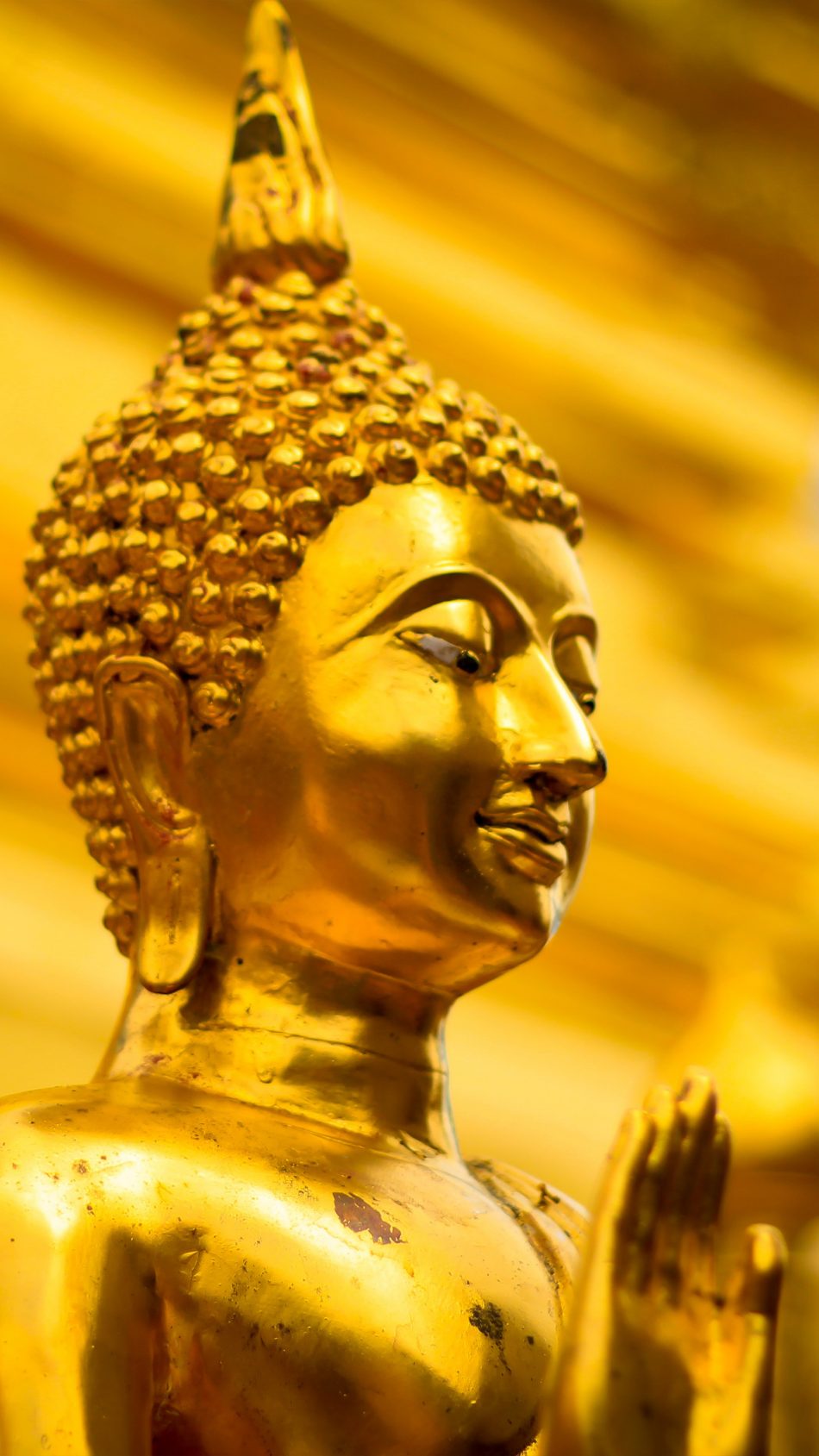 Download Golden Gautama Buddha Statue Thailand Free Pure 4K Ultra