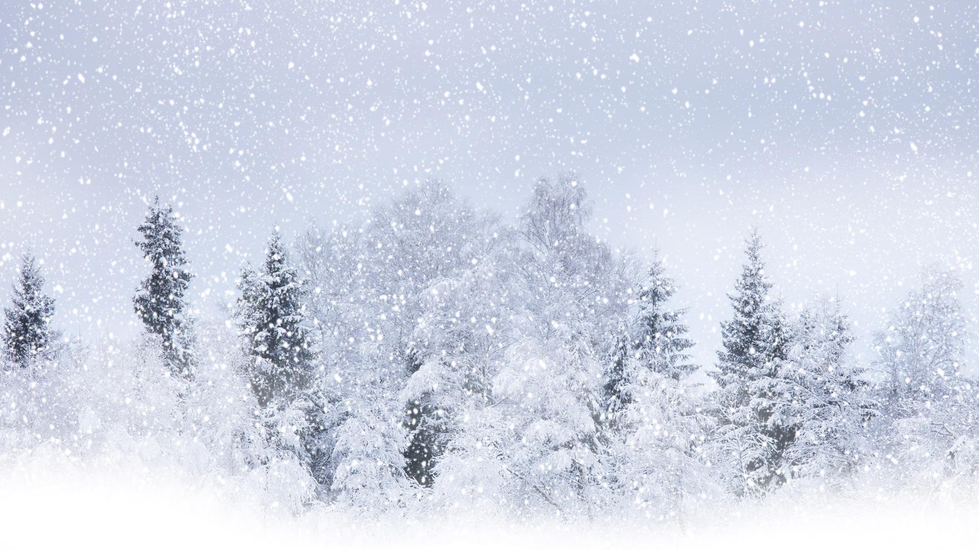  Winter With Snow Background Widescreen and HD background Wallpaper