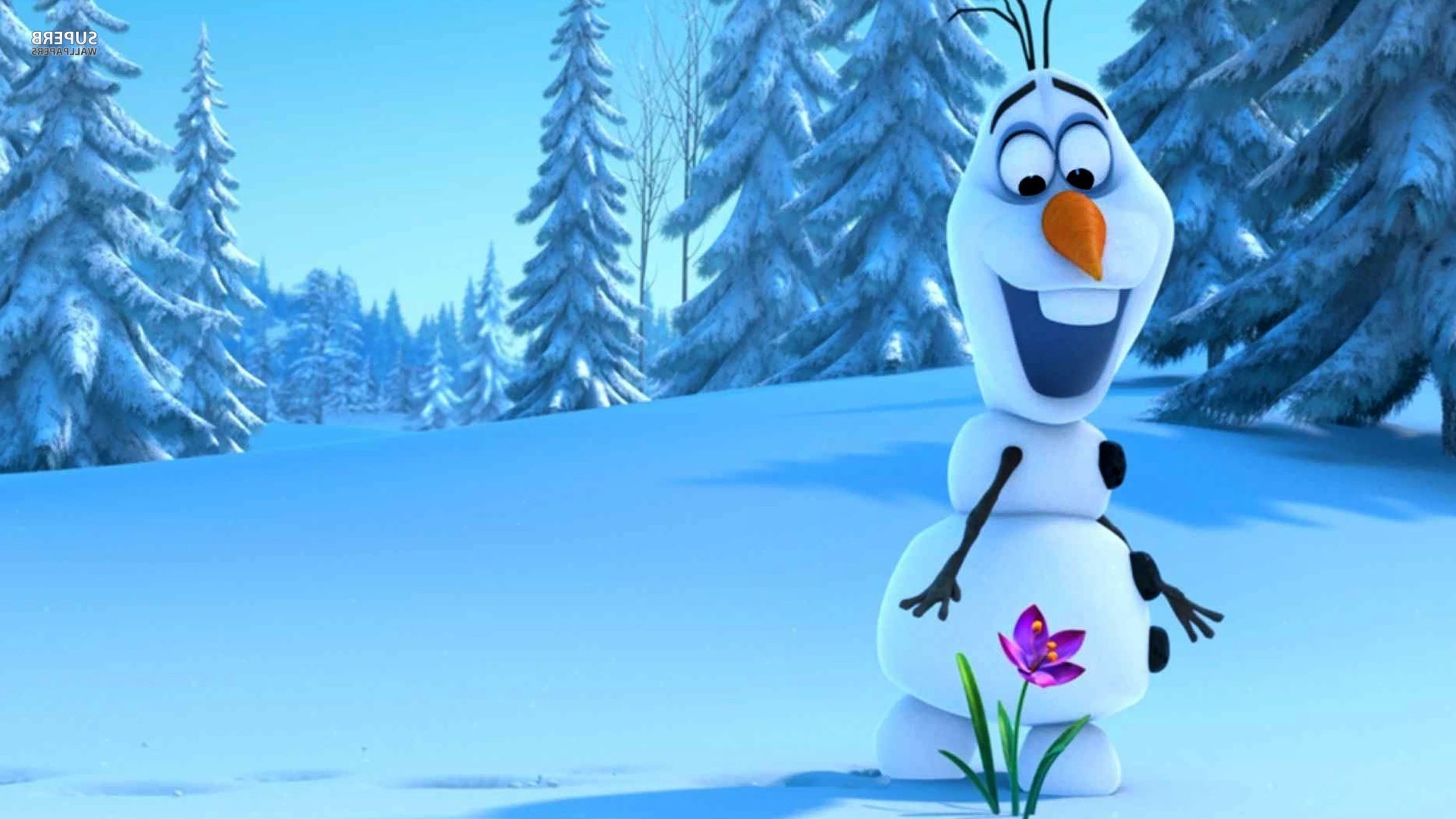 Olaf Frozen HD Wallpaper Image Pictures