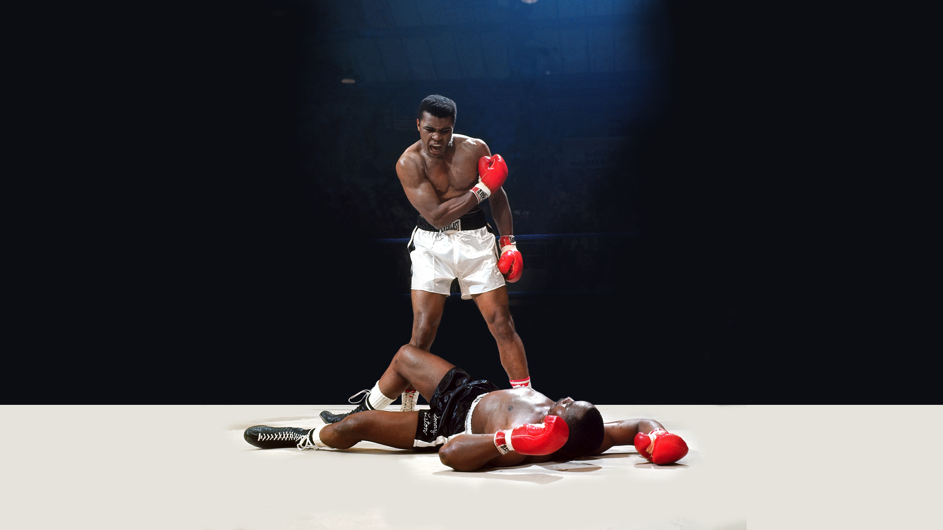 Boxing Desktop Wallpaper Umad
