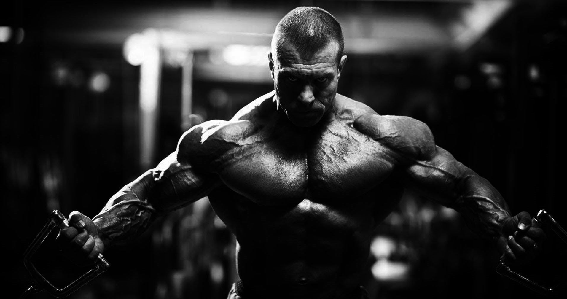 Bodybuilding HD Wallpaper