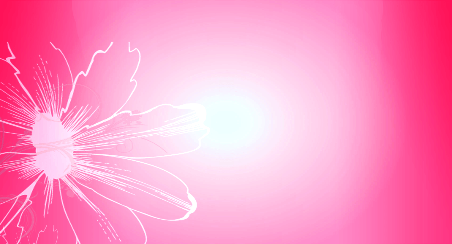 Pink Backgrounds 1920x1038