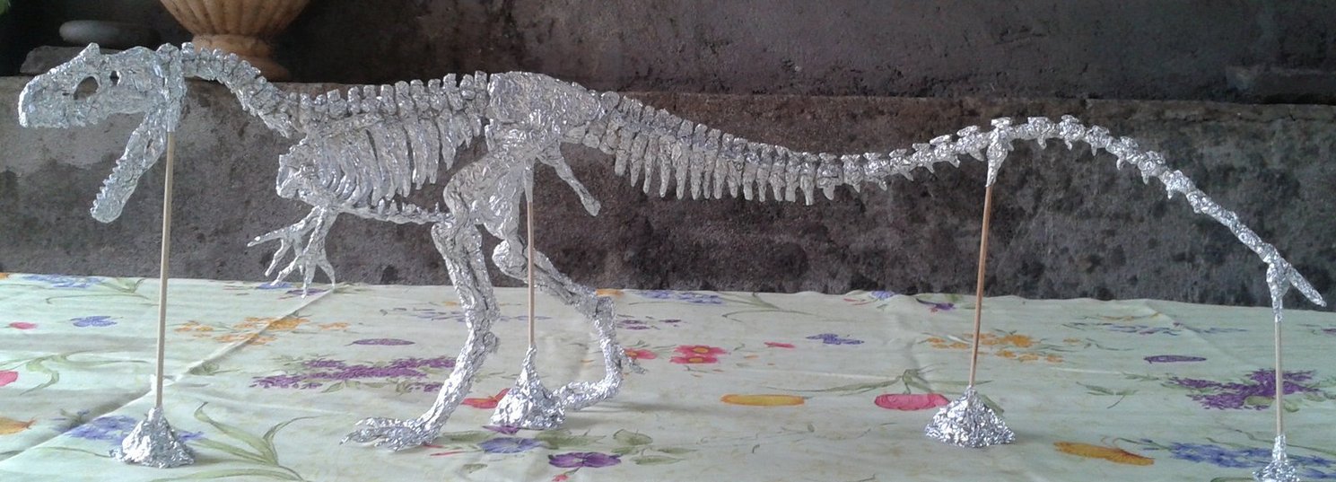 Allosaurus Fragillis Skeleton By Zewqt
