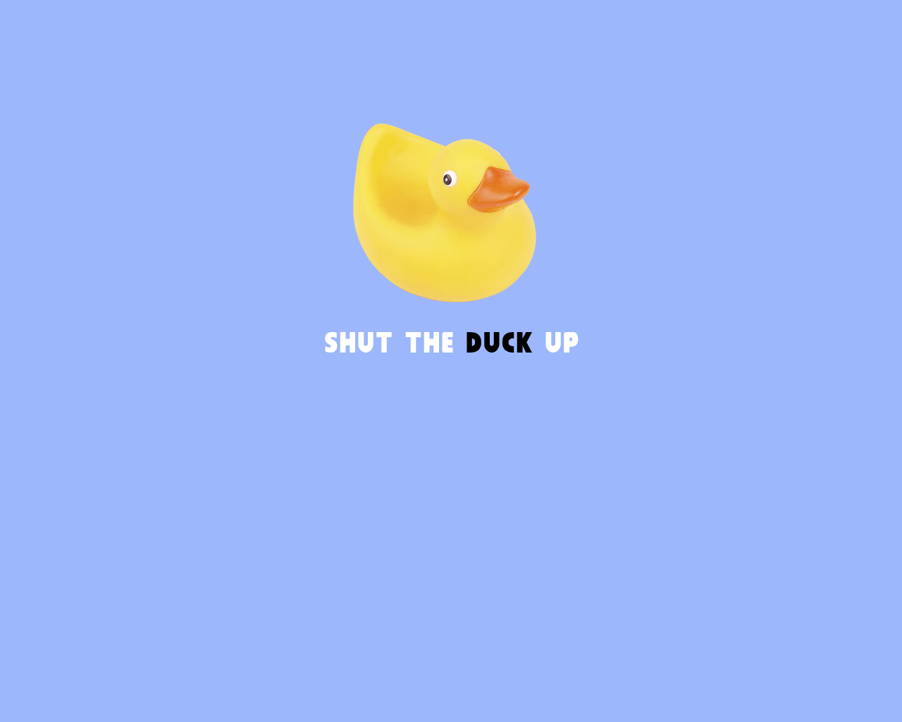 Joke Wallpaper Shut The Duck Up
