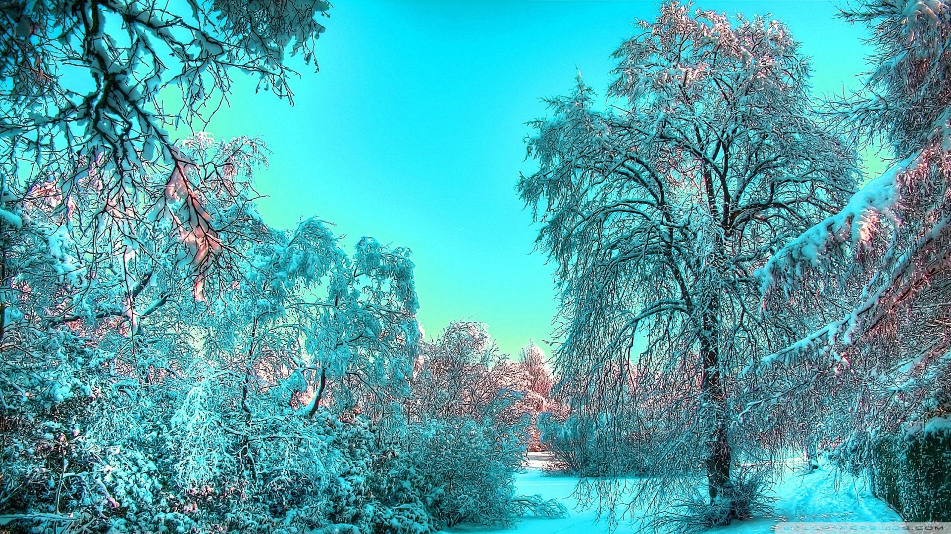 Frozen Landscape Wallpaper