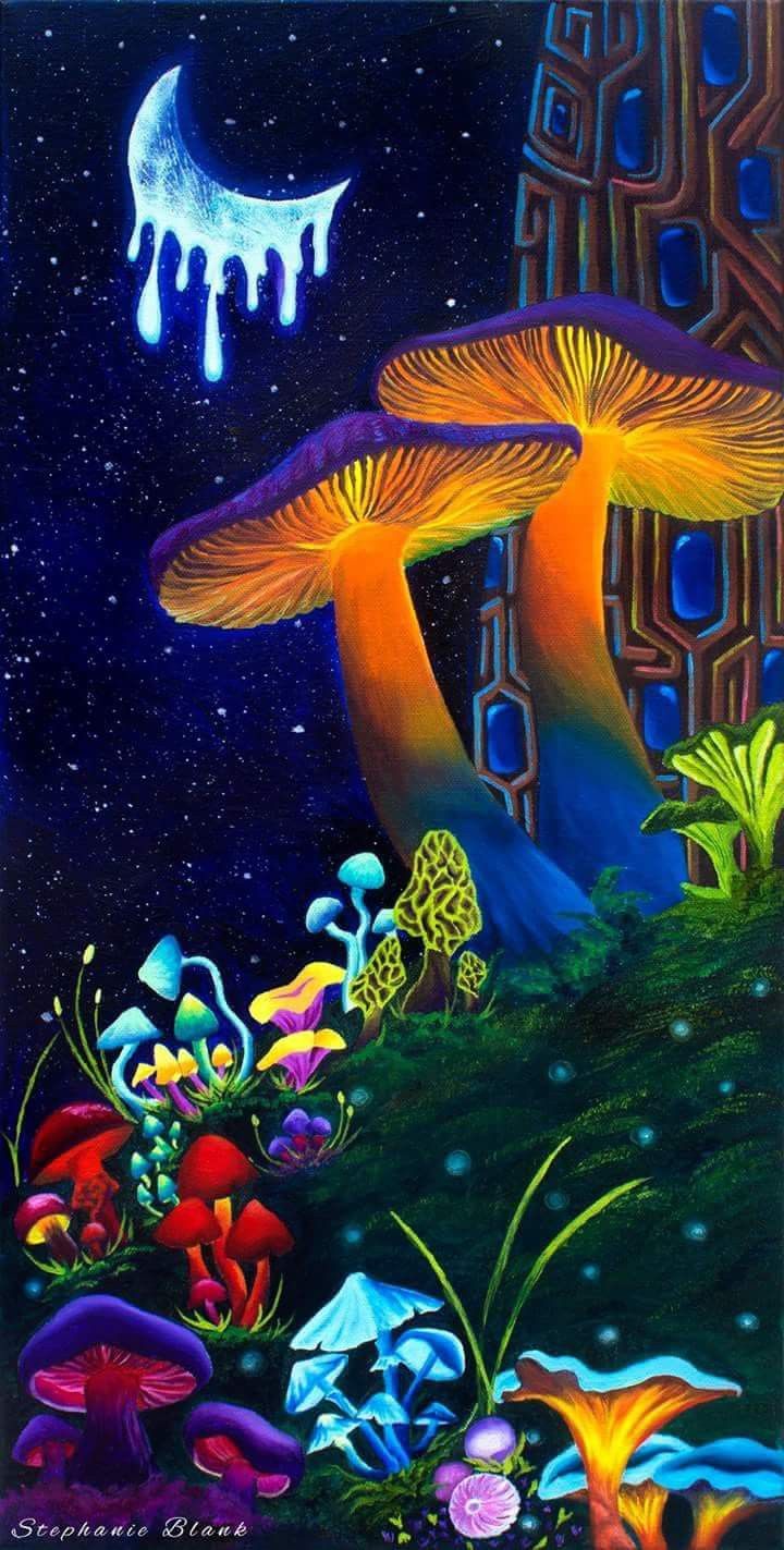 Patty Rogers On Magical N Mysterious Mushrooms