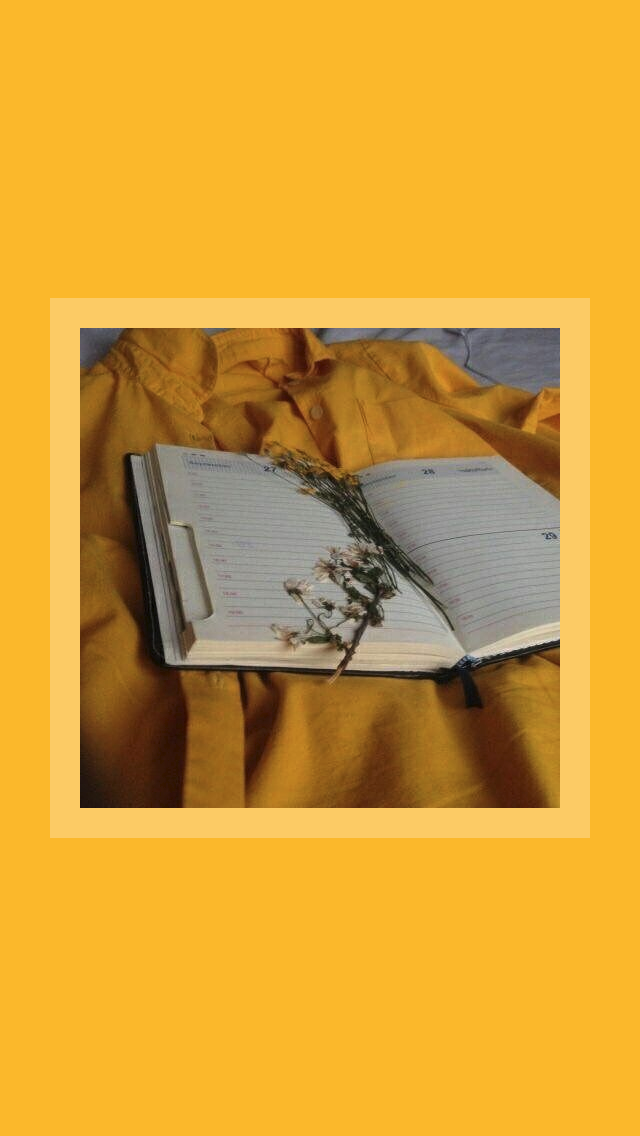 Yellow Aesthetic Image Wallpaper