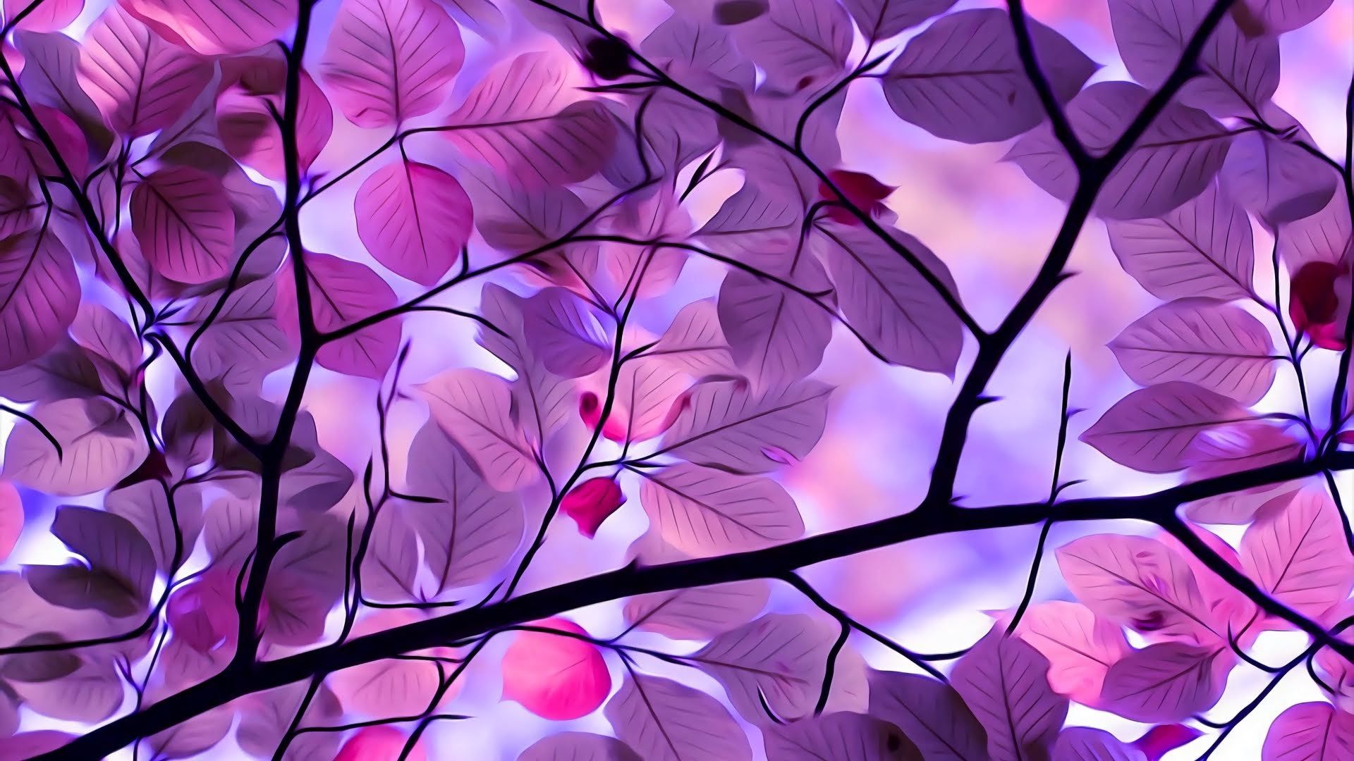 Purple Tree Wallpaper