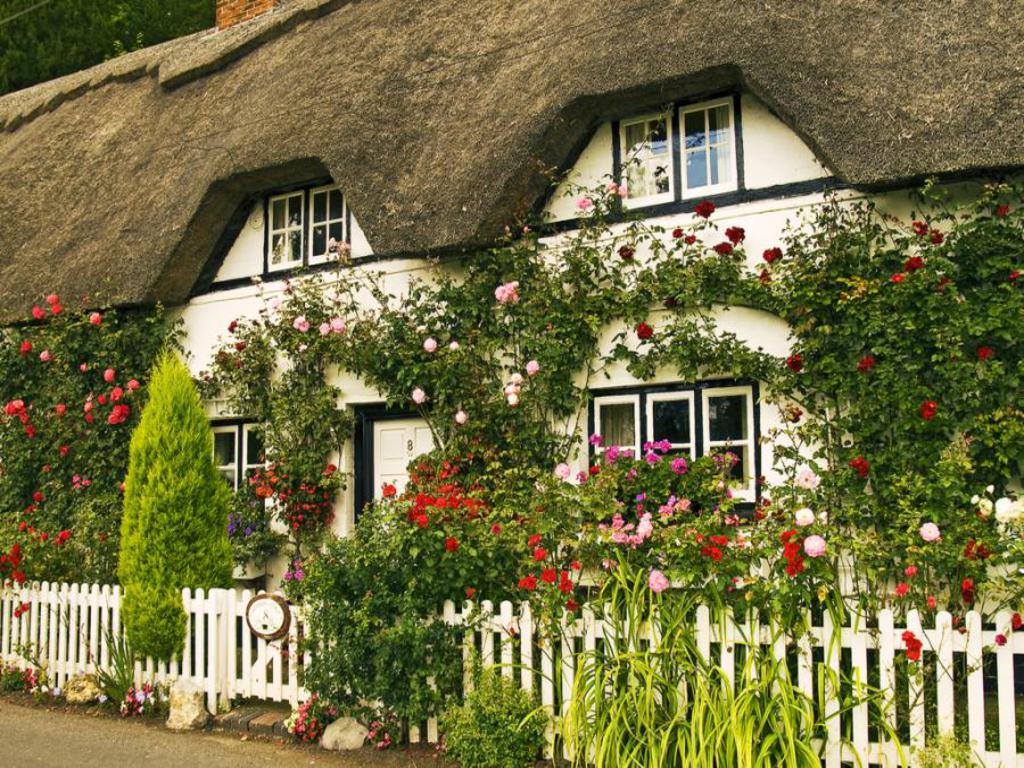 English Garden Wallpaper Home