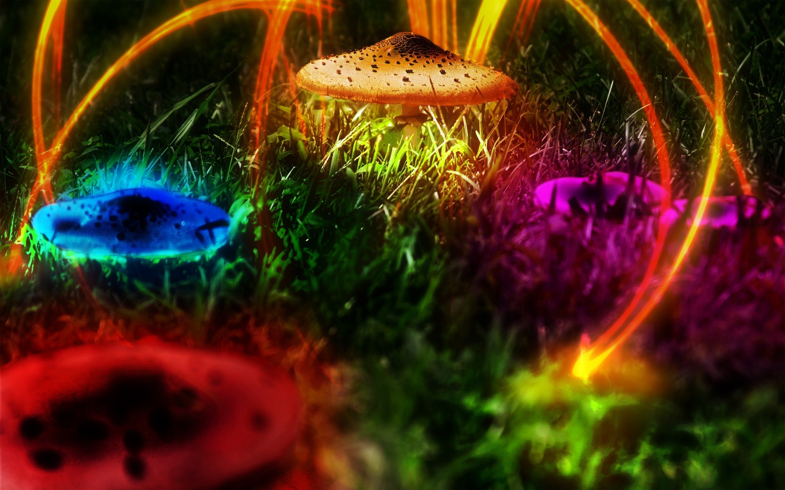 Multicolor Mushrooms Plants Psychedelic Digital Art HD Wallpaper