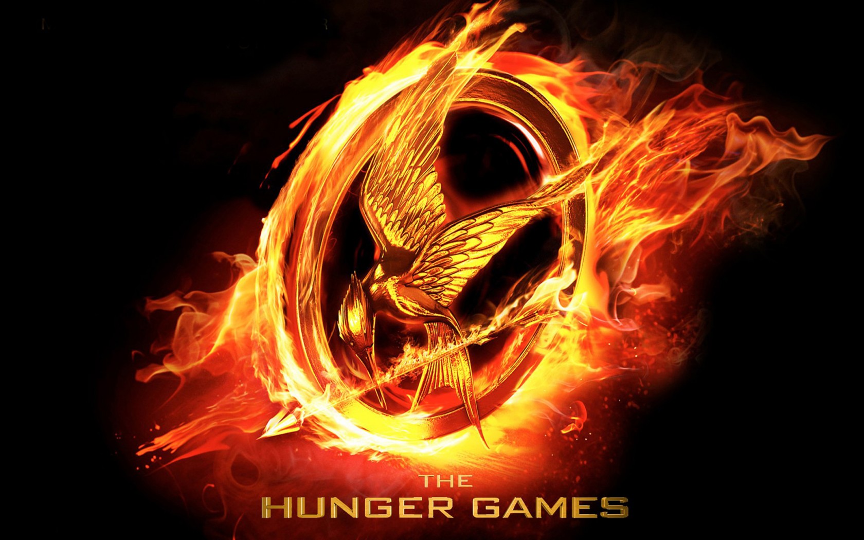 The Hunger Games Catching Fire Wallpaper High Definition