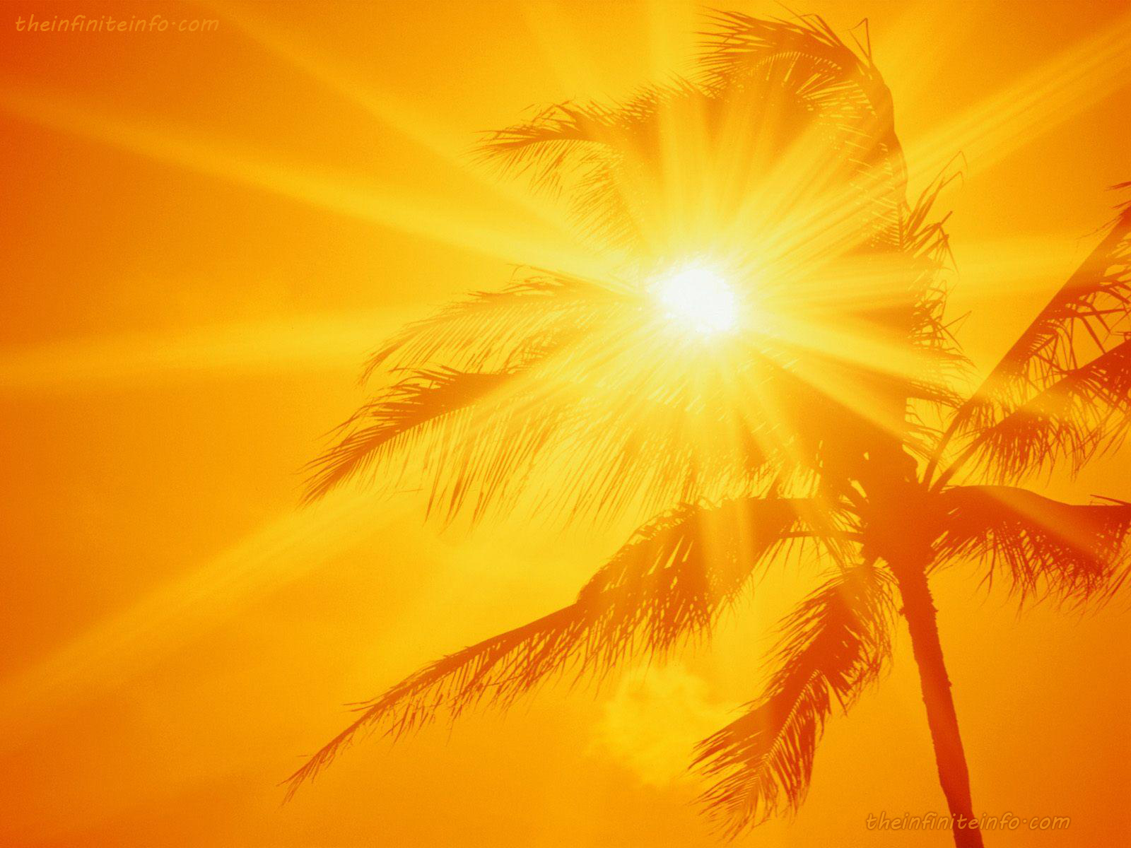 Sunshine Wallpaper In High Resolution And HD