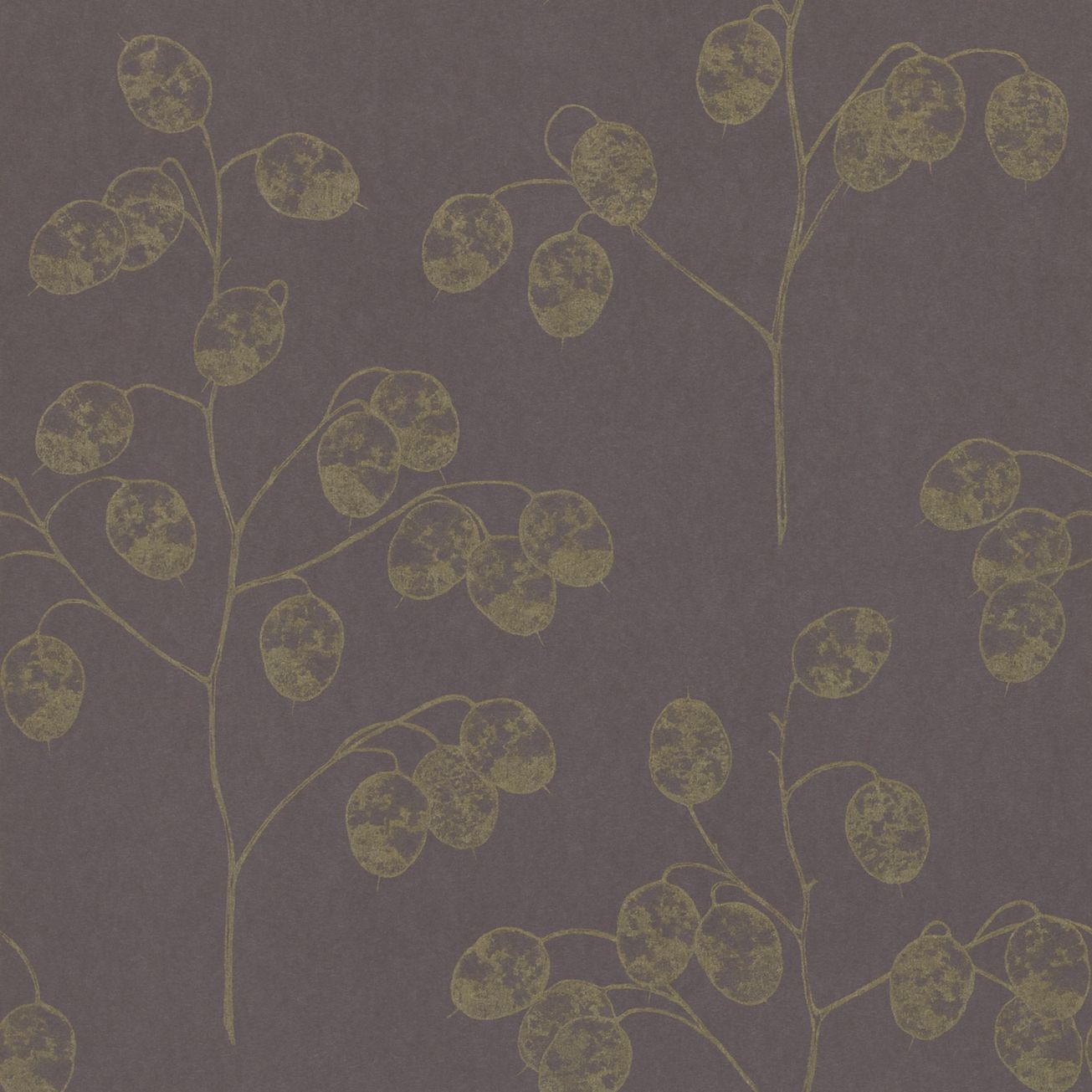 Honesty Wallpaper Parchment Flower Collection Sanderson
