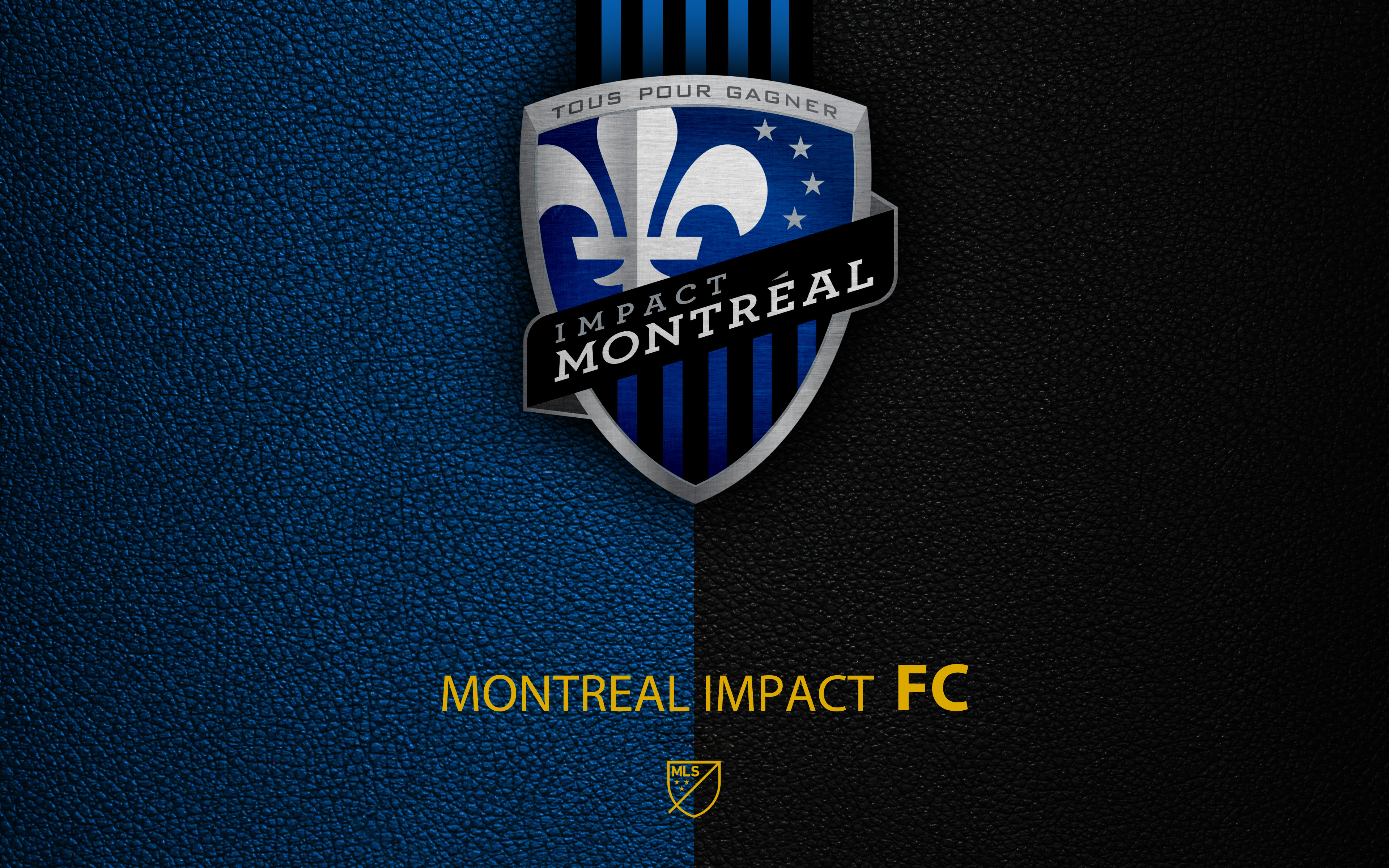 Montreal Impact 4k Ultra HD Wallpaper Background Image