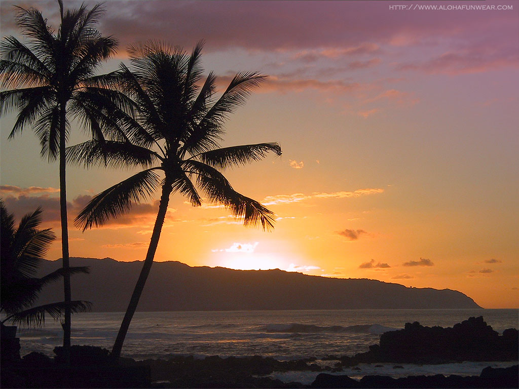 Hawaiian Beach Background