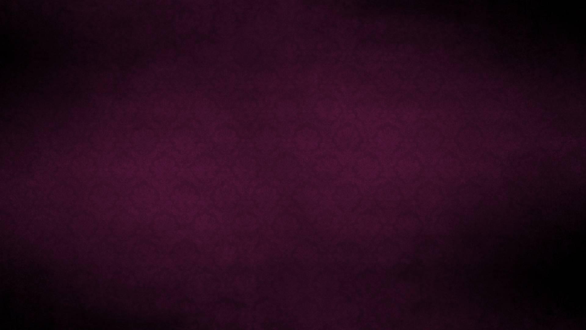 Violet Colour Wallpaper High Definition Quality
