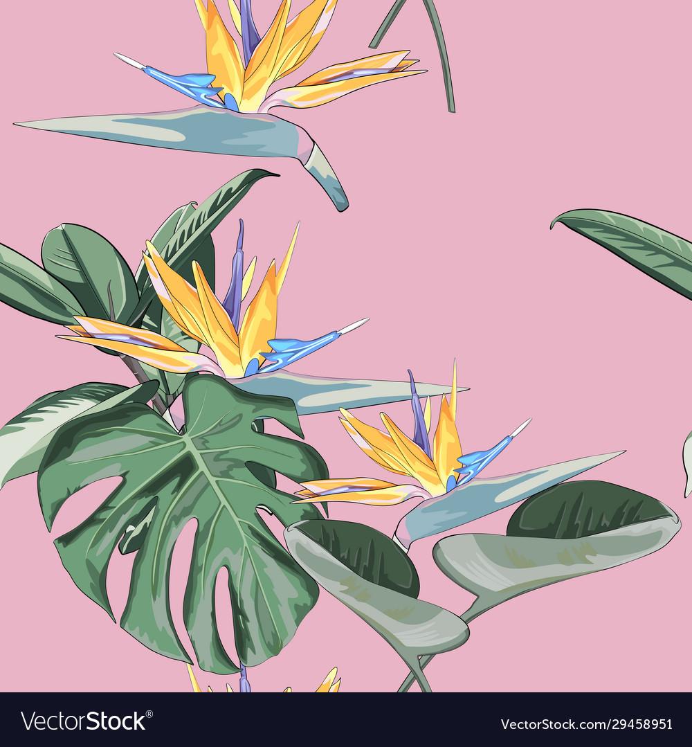 Free download Summer exotic floral tropical wallpaper Royalty Free