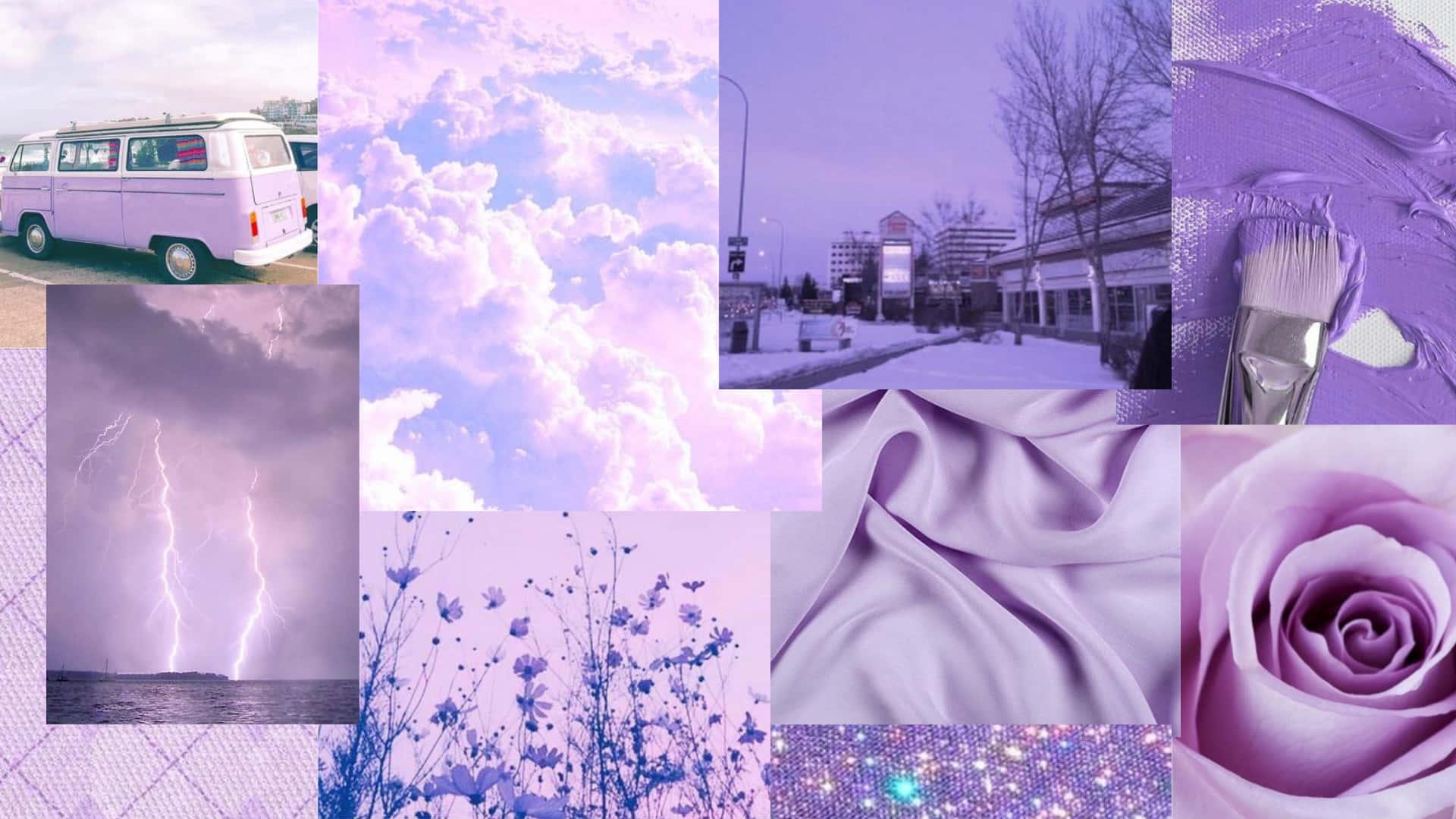 Download Feel infinitely inspired with this beautiful Lavender