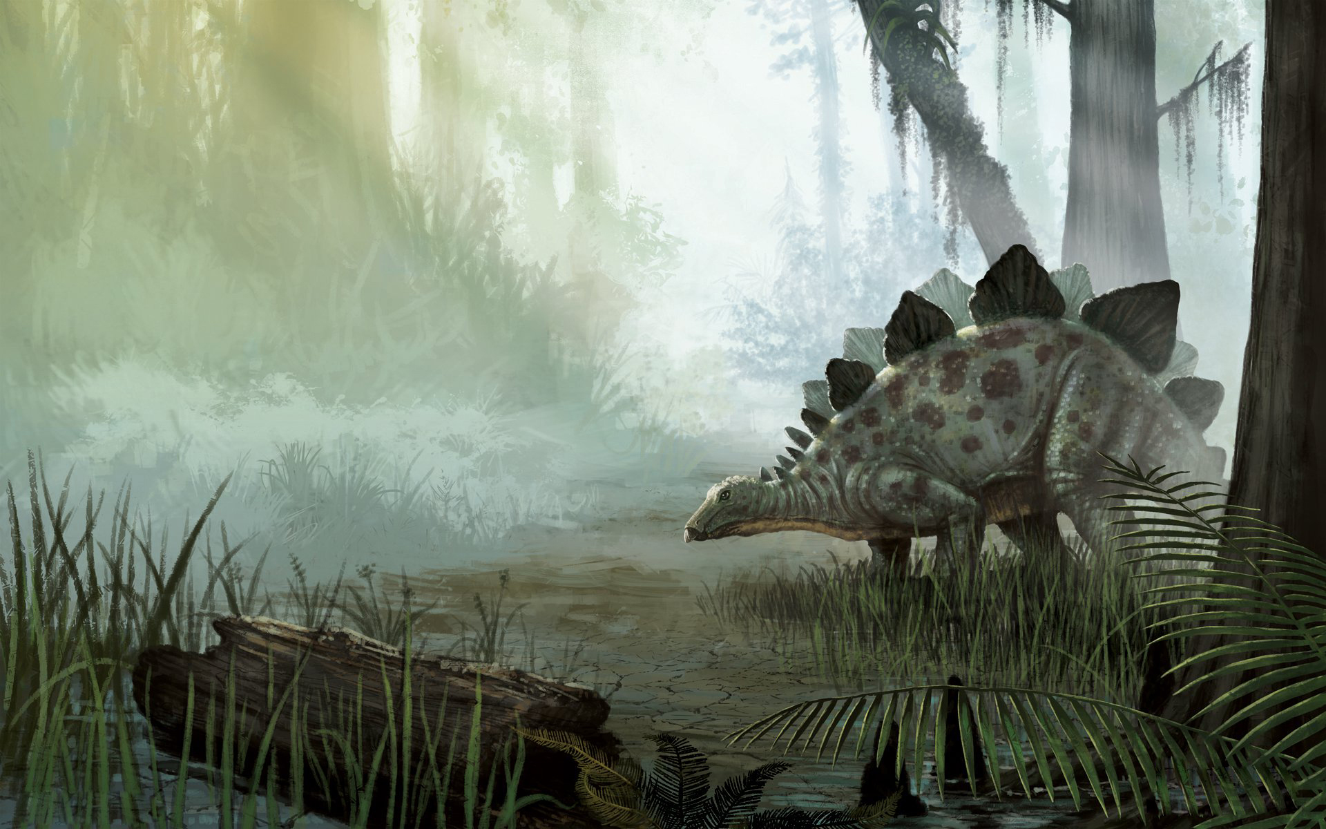 Dinosaur Wallpaper HD