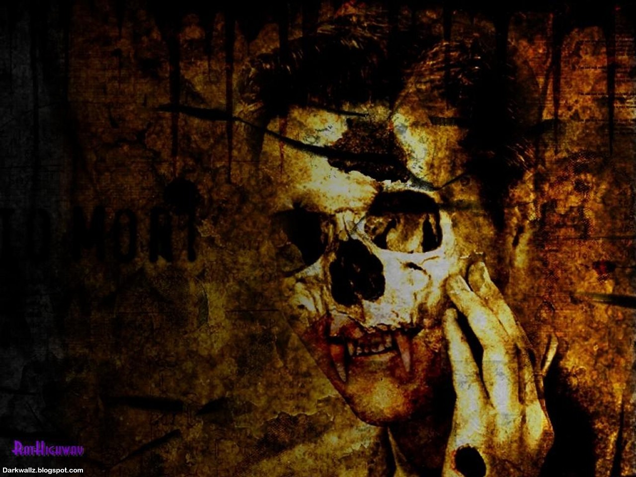 Skulls Wallpaper Dark Skull