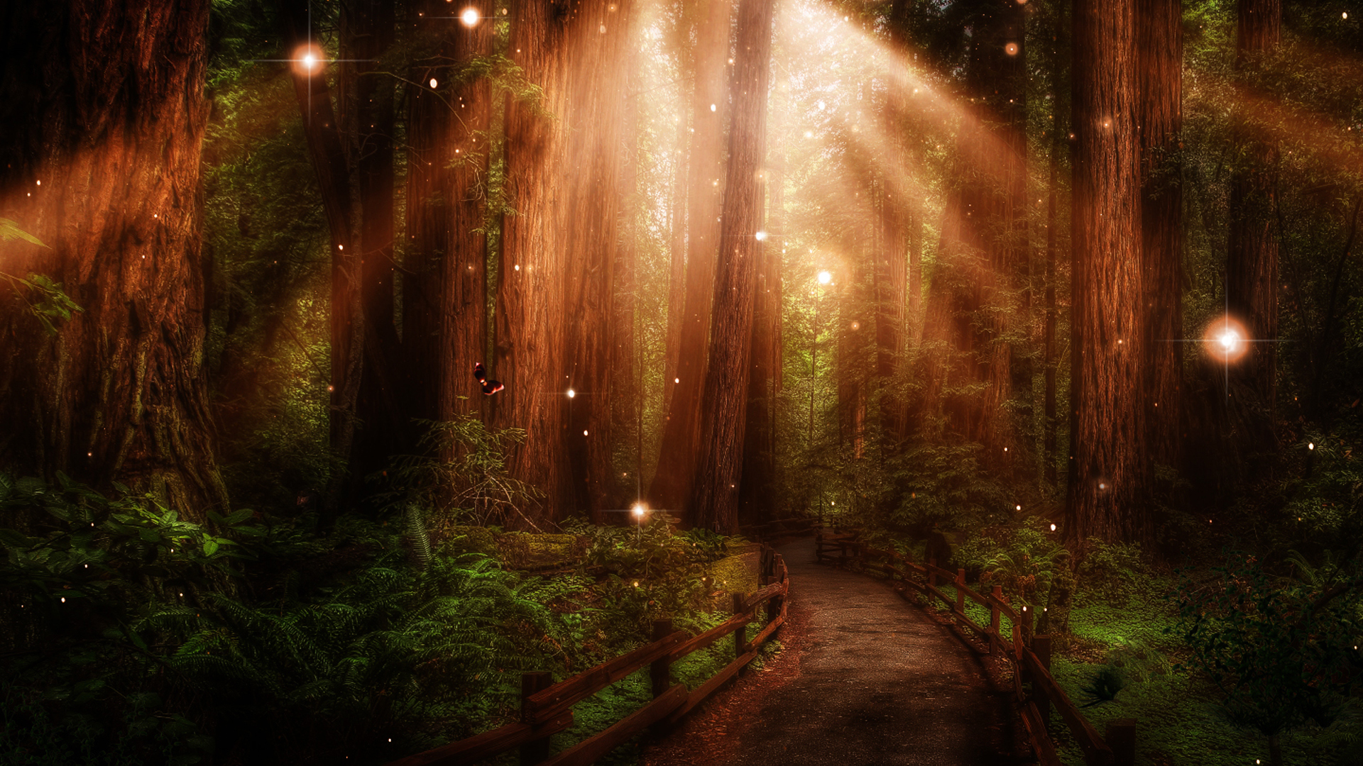 Stunning Forest Path Wallpaper Px