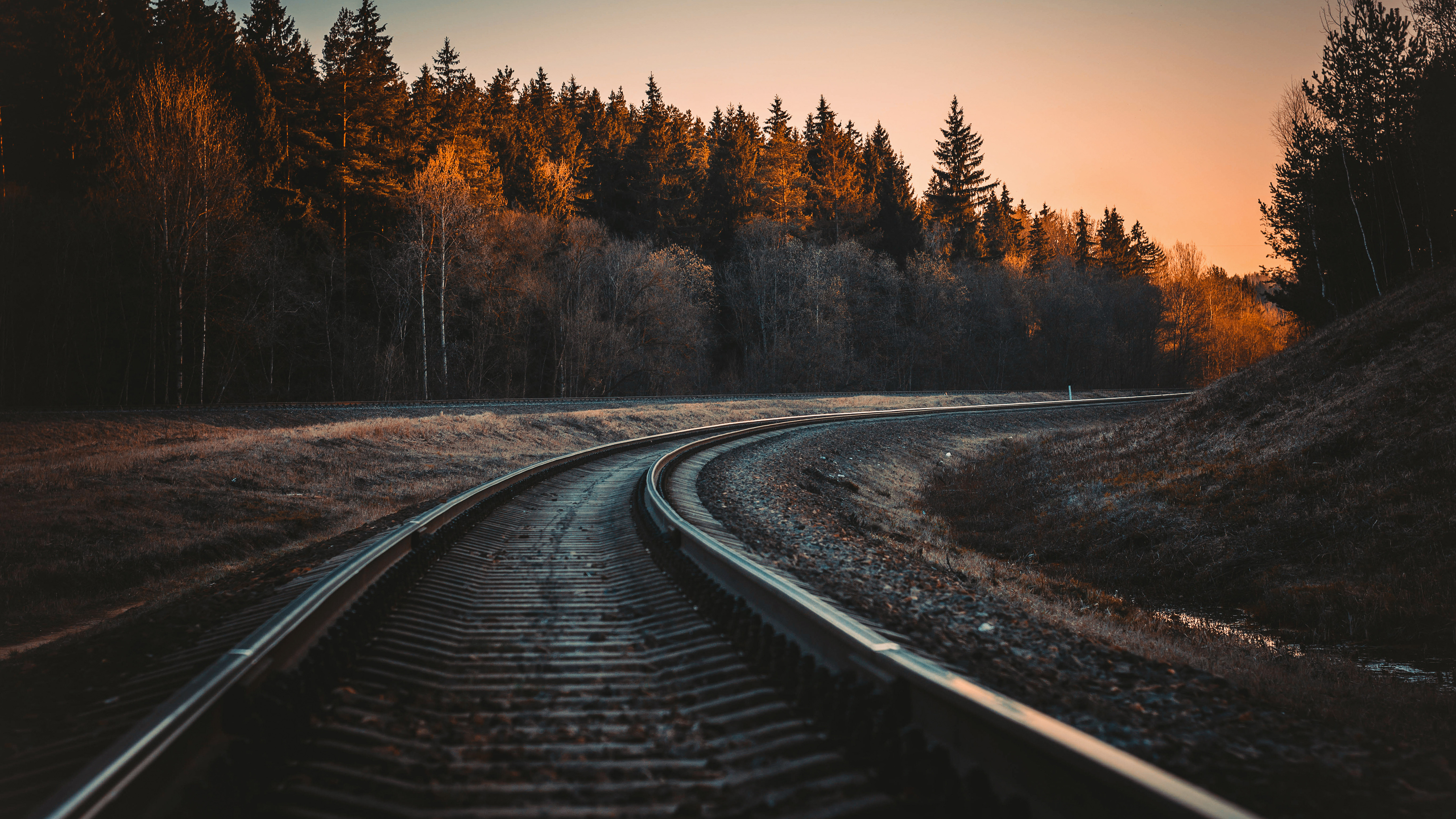 A curving railroad track stretches into the distance, leading towards a vibrant sunset over a forest