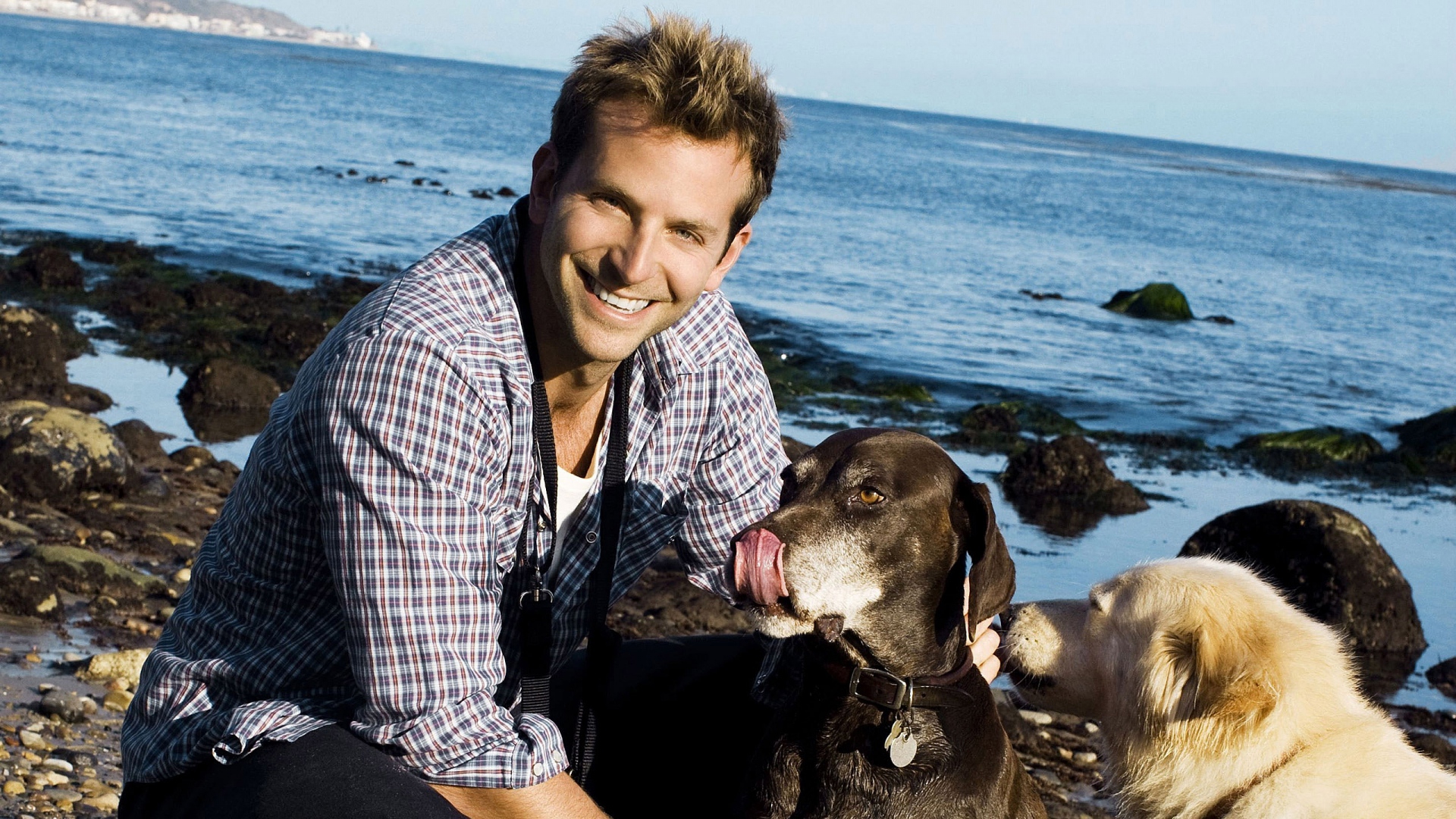 Full HD Wallpaper Bradley Cooper Smile Coast Sea Dog
