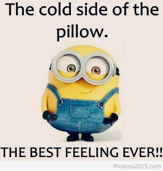 Minions Funny Pictures Image Photos Wallpaper Quotes