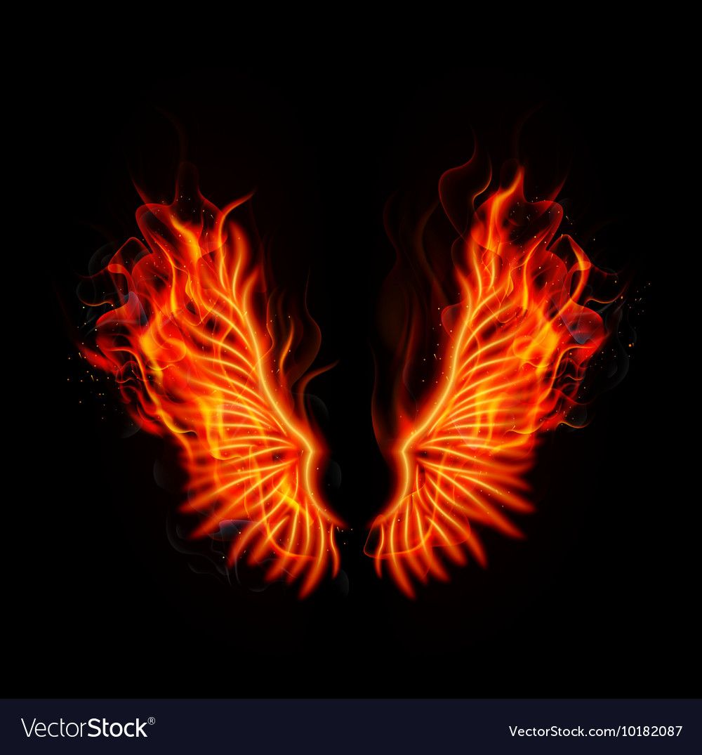 Illustration Of Fire Burning Wings Wallpaper