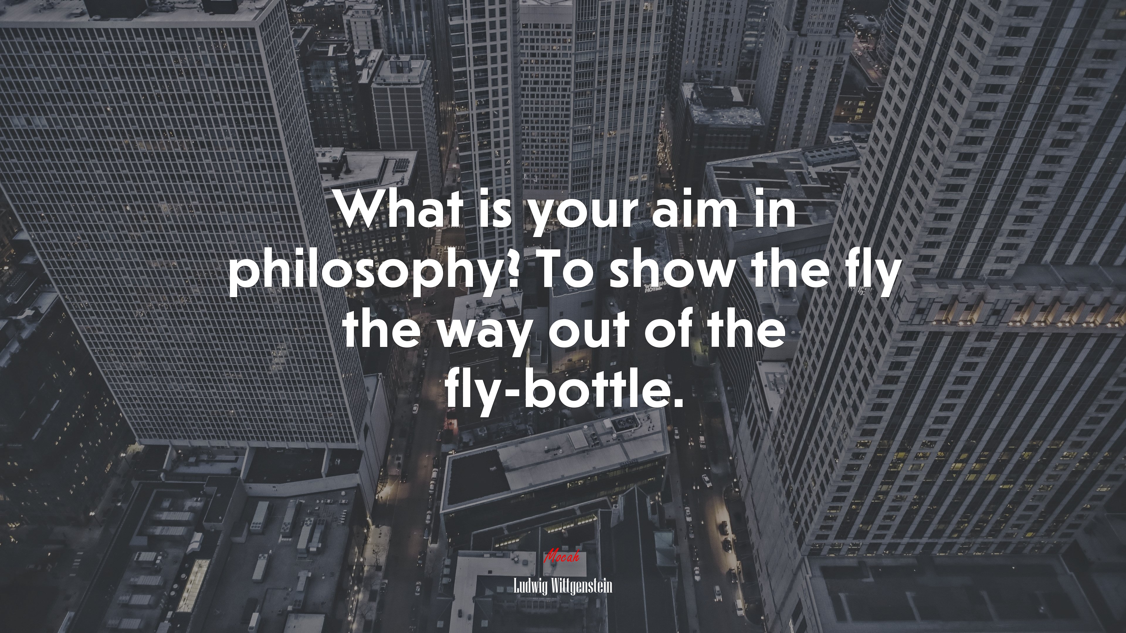What Is Your Aim In Philosophy To Show The Fly Way Out