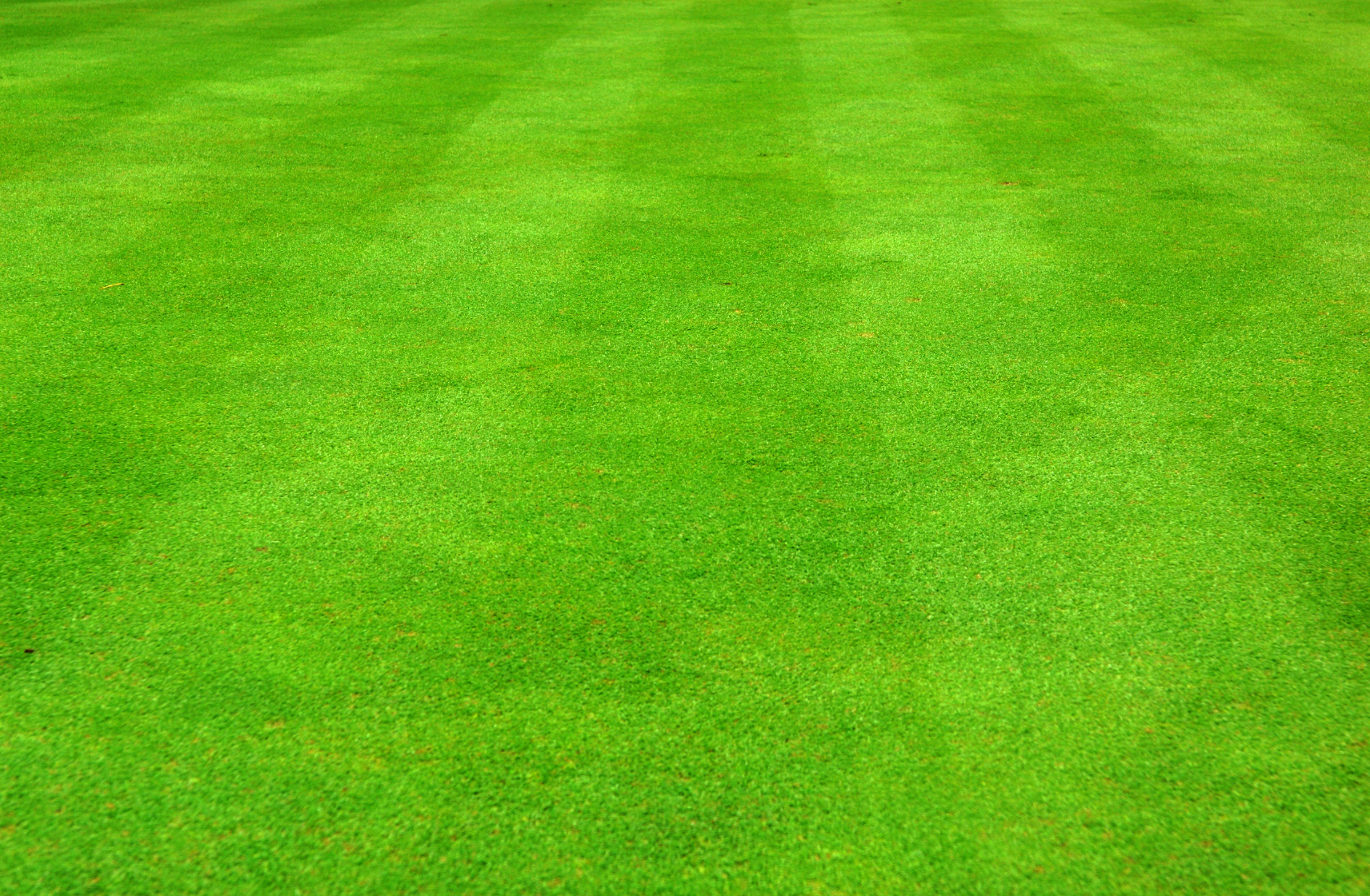Grass Clipart Background Image