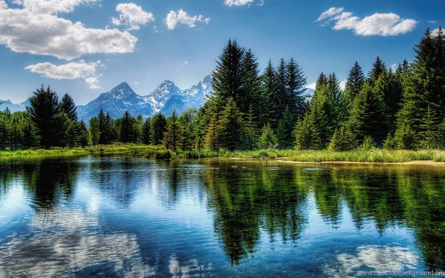 See B Ume Berge Natur Landschaft HD Wallpaper Desktop