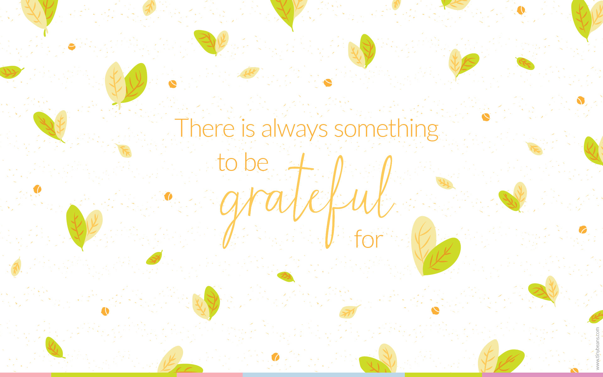 Affirmation Challenge Day 5 Gratitude Im grateful for everything in my  life  Personal Excellence