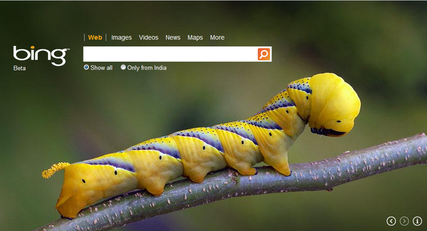 Bing Desktop Changes Wallpaper Background Automatically Every Day