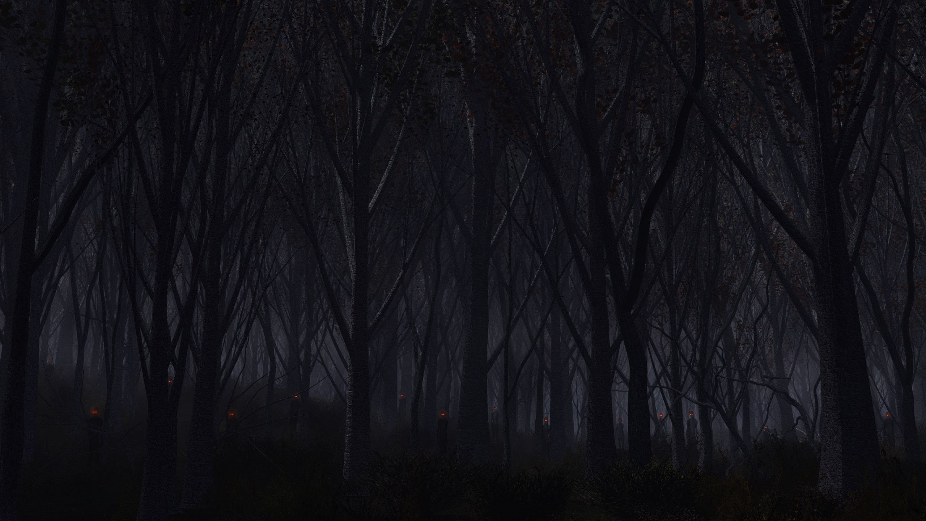 Wallpaper Forest Trees Background Dark 4k Ultra