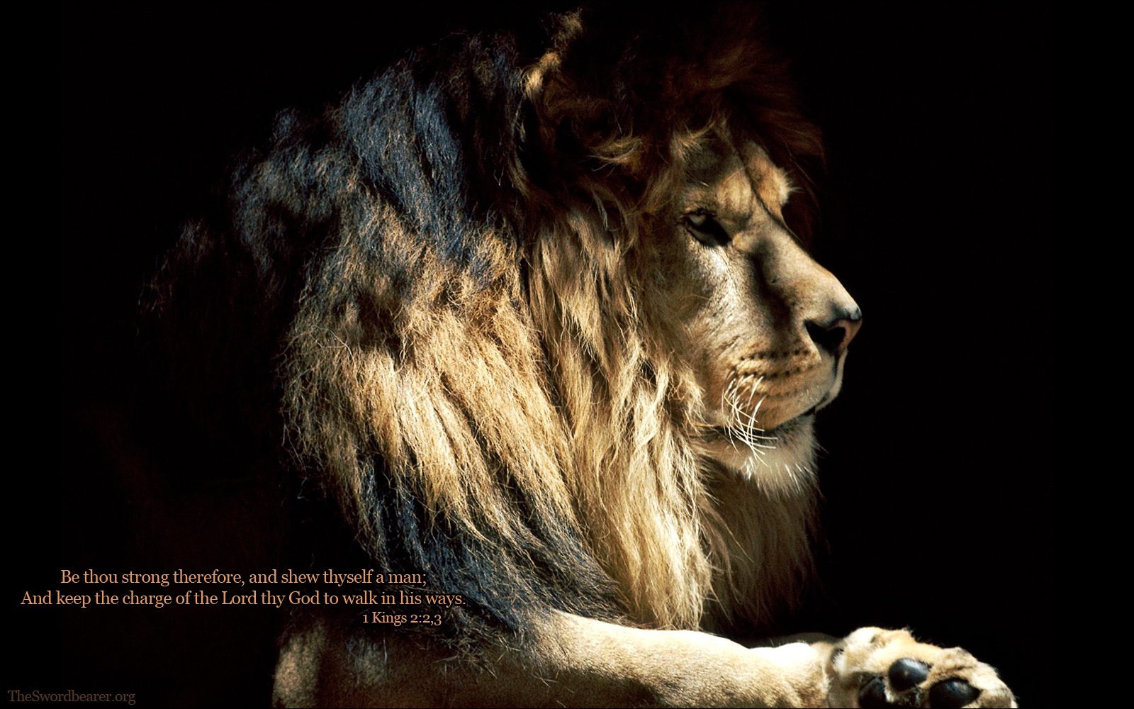 Lion of Judah by janmil000 on DeviantArt