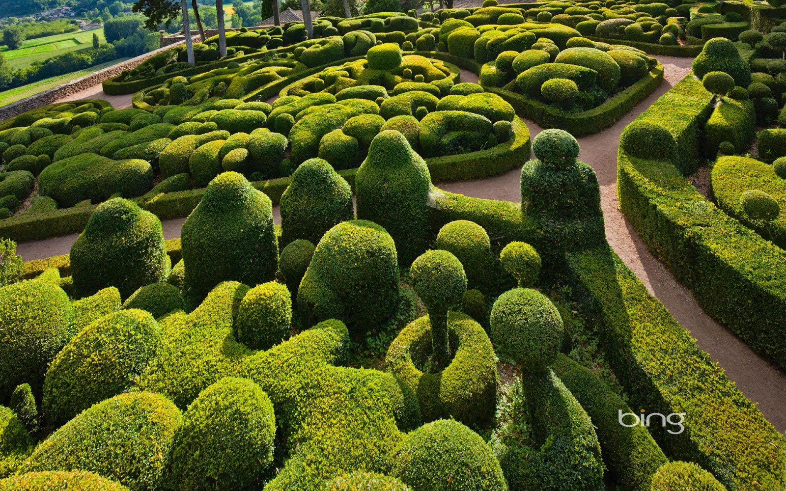 Sculpted boxwoods at the Chateau de Marqueyssac in Vzac France 1600x1000