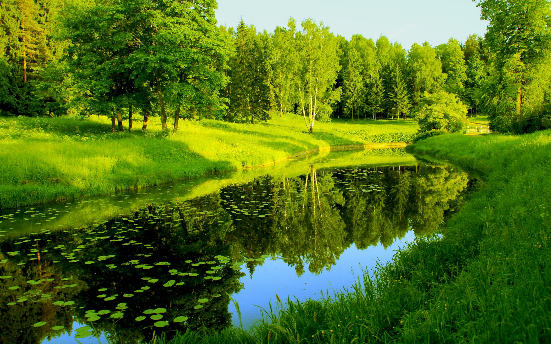 Nature Trees River Reflection HD Wallpapers