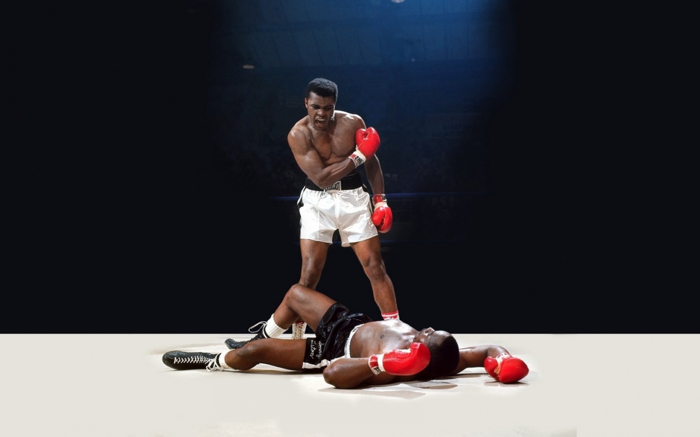 Muhammad Ali Knock Out HD Boxing Wallpaper Short News Poster
