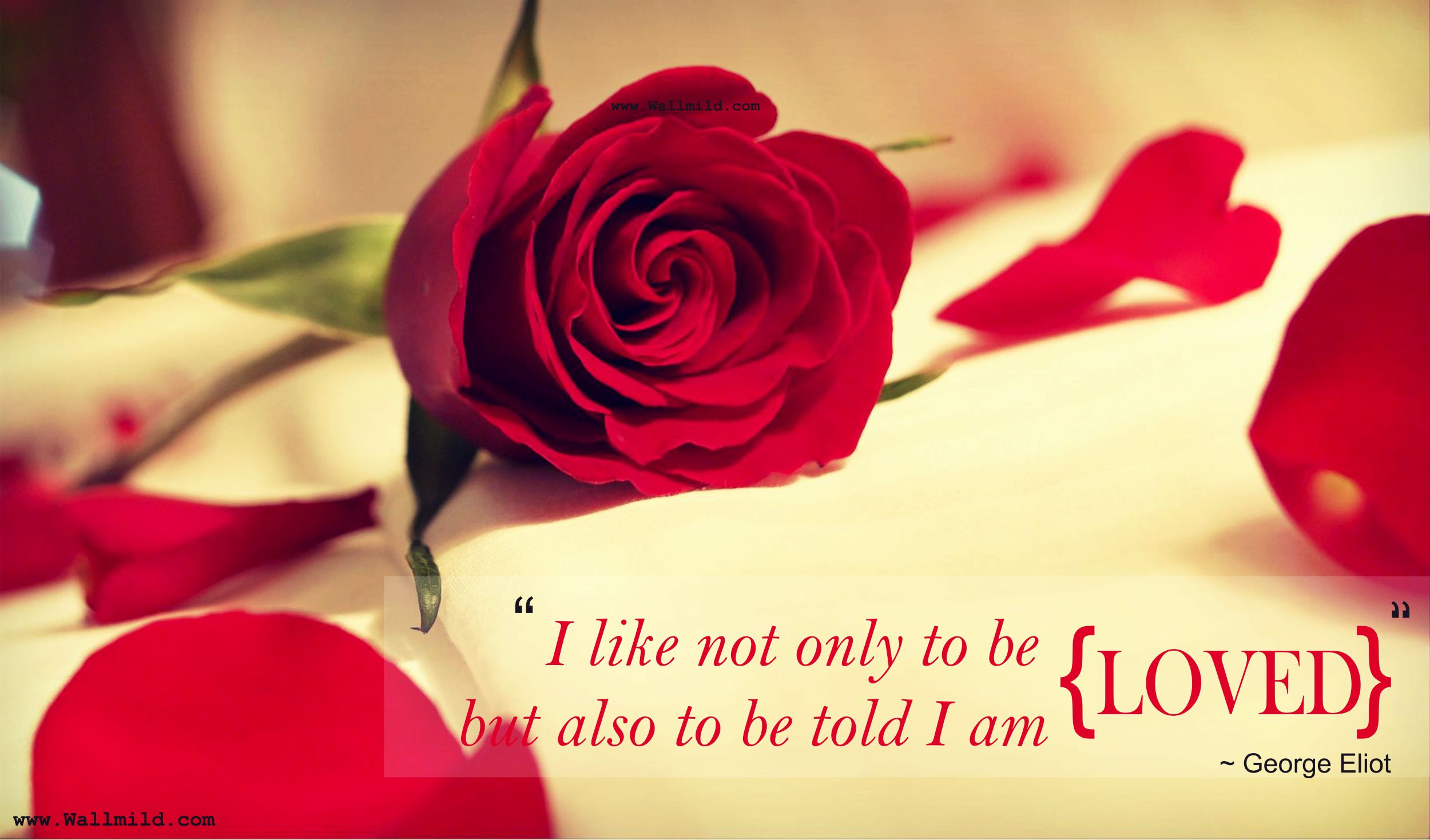 Romantic Love Quotes Cute HD Wallpaper Memes